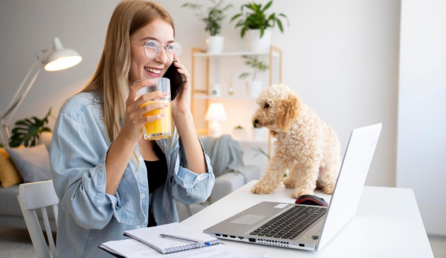 Educational platform workspace